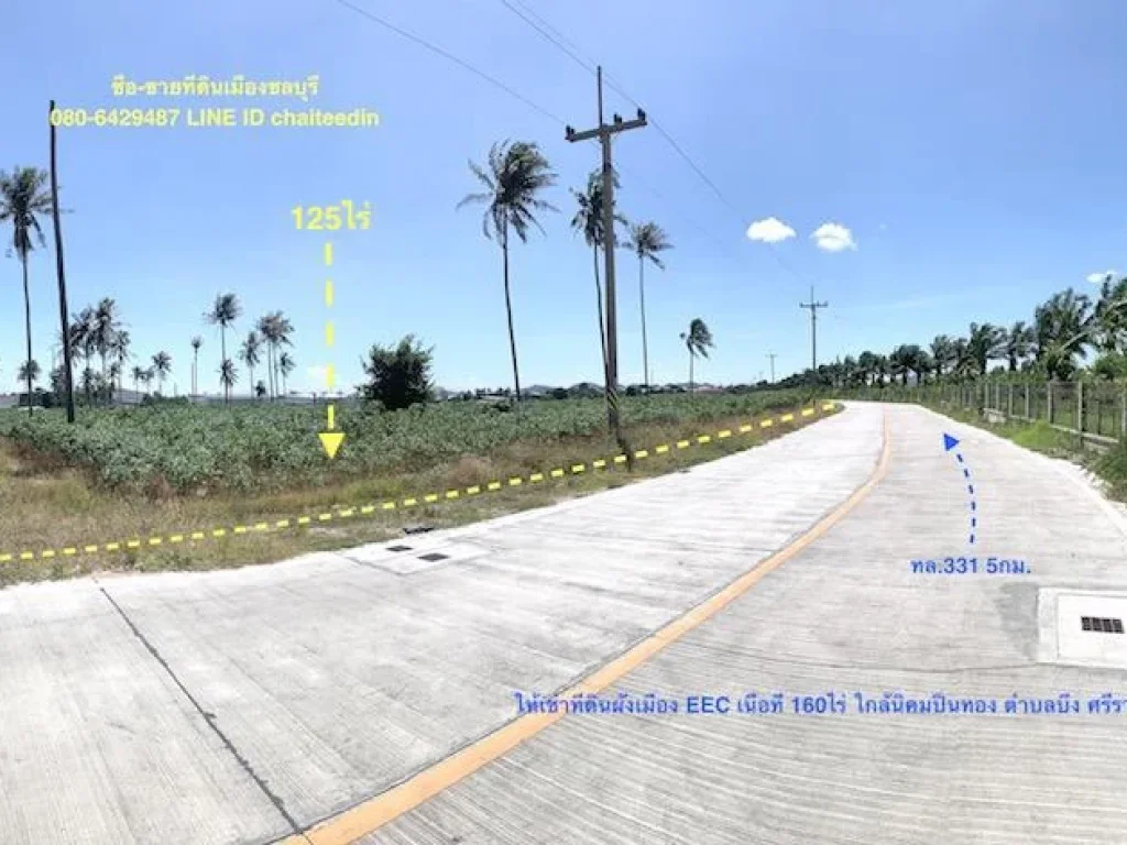 ให้เช่าที่ดินผังเมือง EEC ตำบลบึง ศรีราชา ชลบุรี ที่ดินหลายแปลง