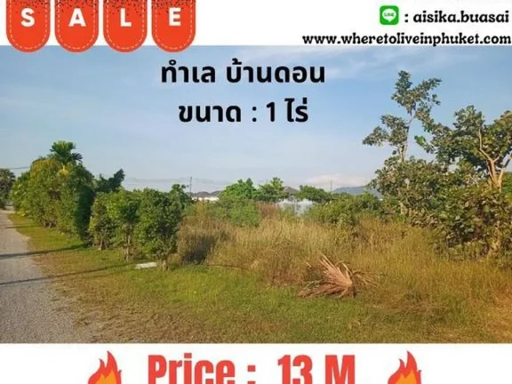 For Sales Land Thalang Bandon Garden view 1 Rai