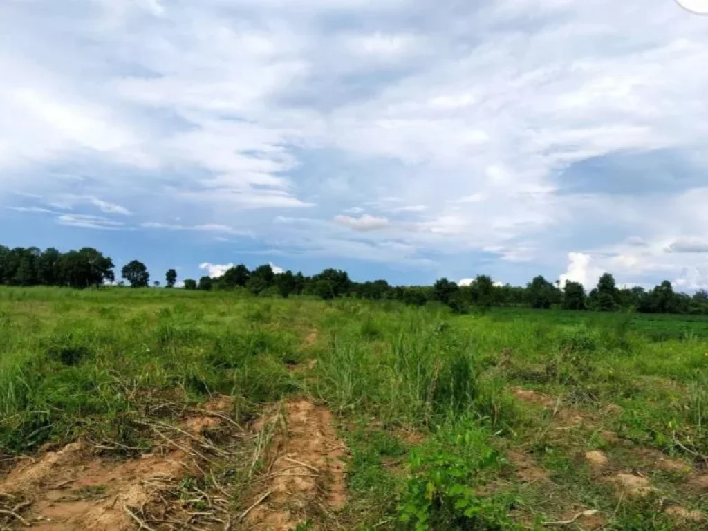 ขายที่ดินติดถนนมิตรภาพ