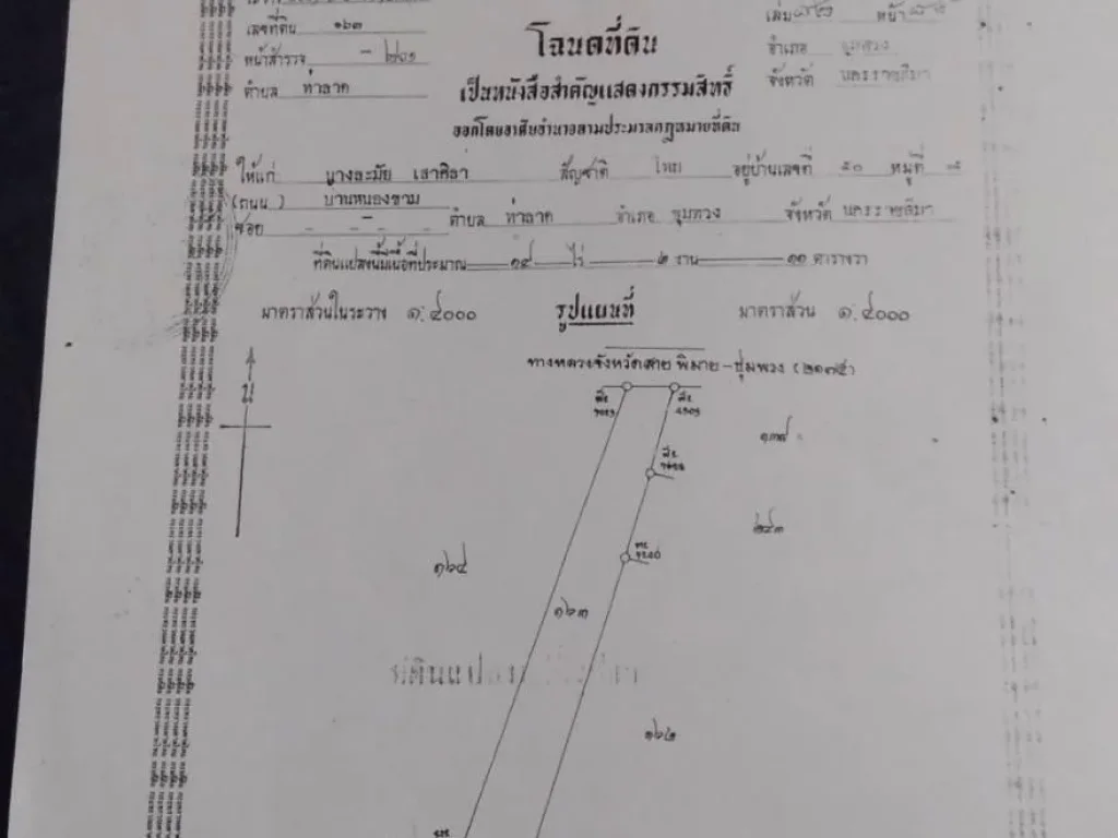 ขายที่ดินติดถนน ระหว่างพิมาย-ชุมพวง