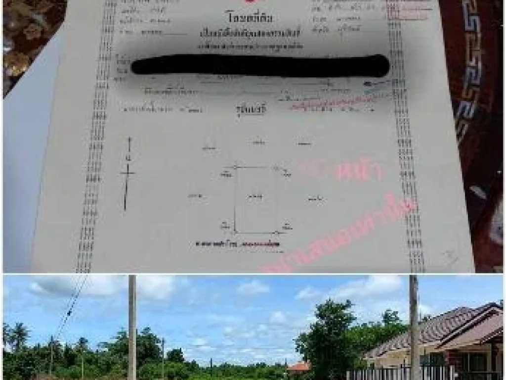 ขายที่ดินเปล่า 60 ตรว พร้อมฟรีโอน สามารถวางมัดจำ 10 ที่เหลือชำระภายใน 1 เดือน