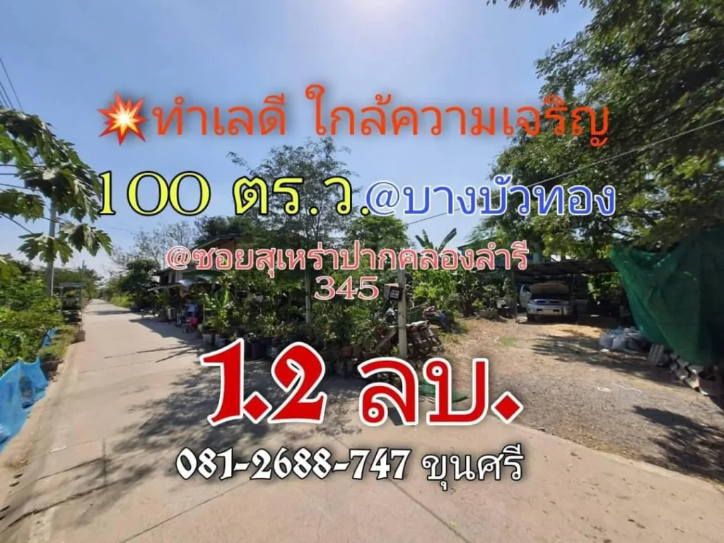 ขายถูก ที่ดินบางบัวทอง 100 ตารางวา 12 ลบใกล้ถนน345 ซอยสุเหร่าปากคลองลำรี ตละหาร จนนทบุรี