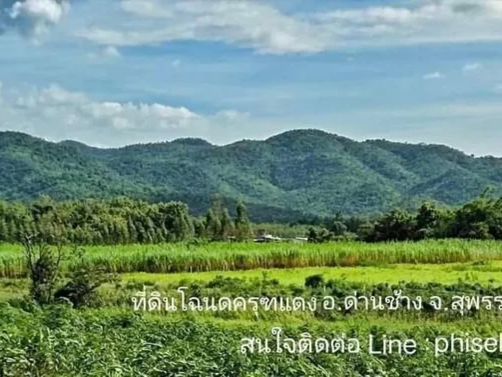 ขายที่ดินวิวเทือกเขาสุดสวย ด่านช้าง สุพรรณบุรี