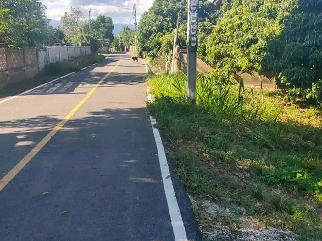 ขายที่ดินติดถนนลาดยาง บ้านแปะจอมทองโฉนด