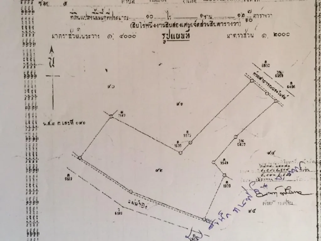 ขายที่ดิน จำนวน ๑๐ ไร่เศษ