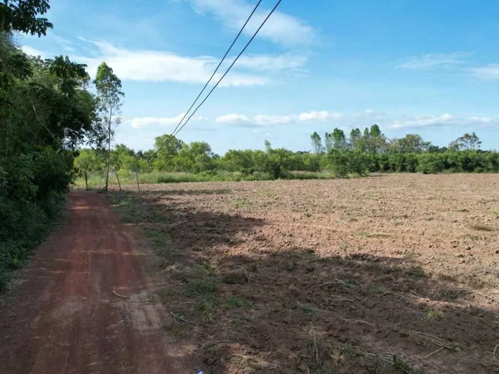 สำหรับผู้ที่อยากทำบ้าน ทำสวน ที่ดินใกล้ธรรมชาติใกล้ถนนใหญ่ราคาถูกๆ อกบินทร์บุรี จปราจีนบุรี