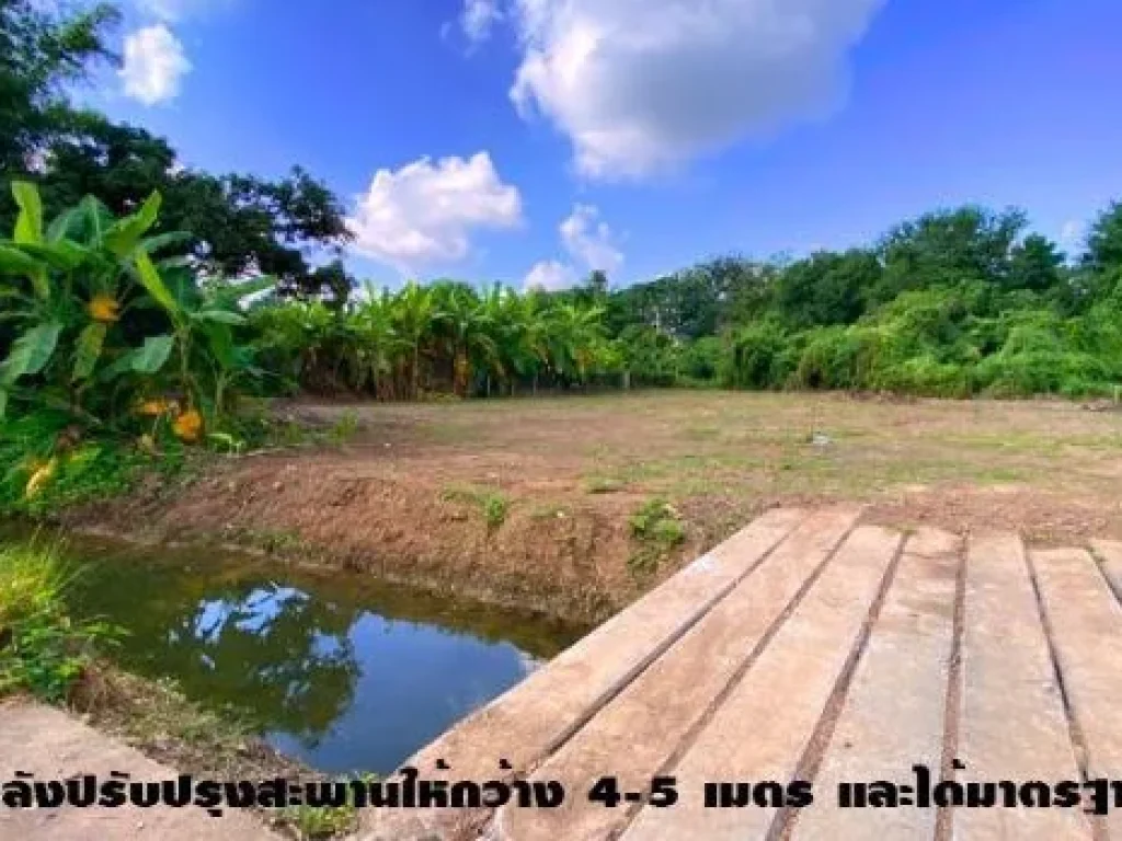 เจ้าของขายเองที่ดิน100ตรว พิกัดเชียงใหม่-สารภี