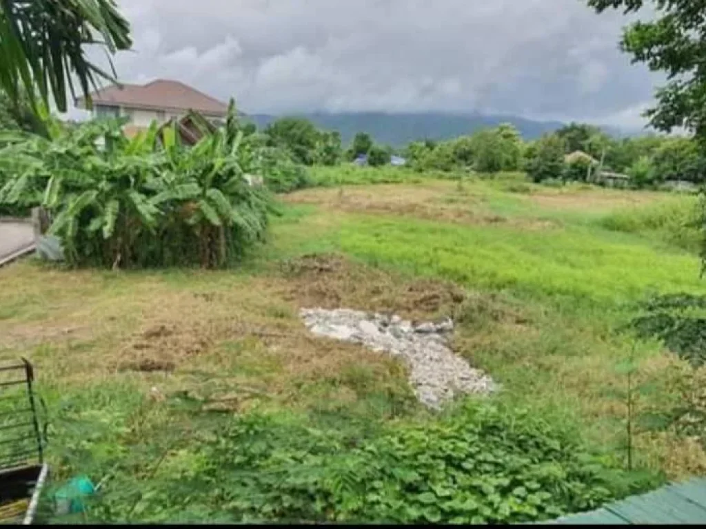 ขายที่ดินตำบลสุเทพ วิวดอยสุเทพ ติดถนนคอนกรีต ราคาถูก