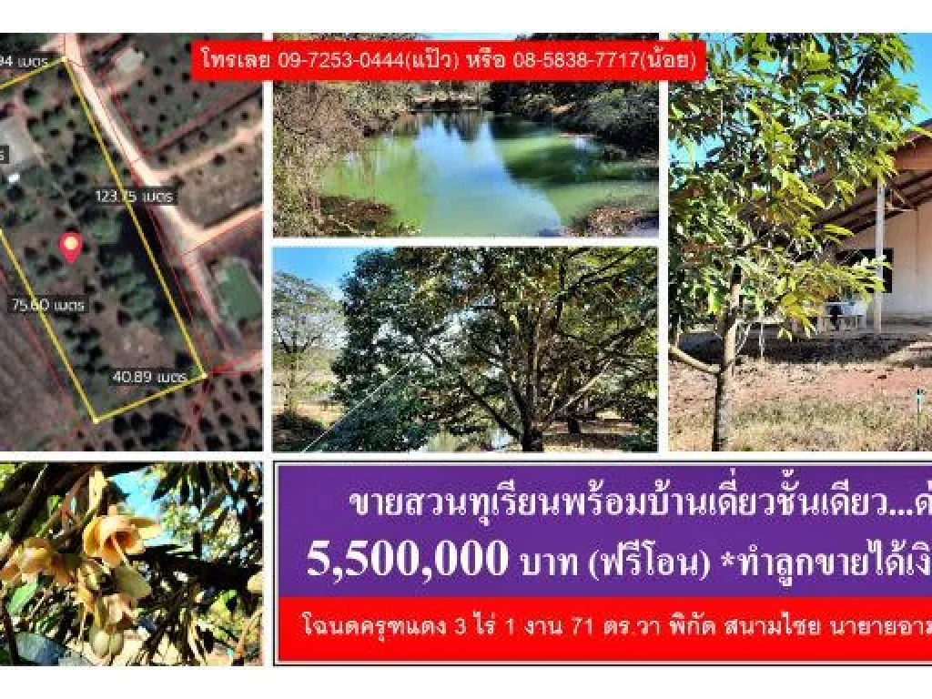 ขายด่วน สวนทุเรียนหมอนทอง บ้าน 1 หลัง ยกแปลง 55 ล้านบาท โฉนด 3 ไร่เศษ พิกัด สนามไชย นายายอาม จันทบุรี Durian