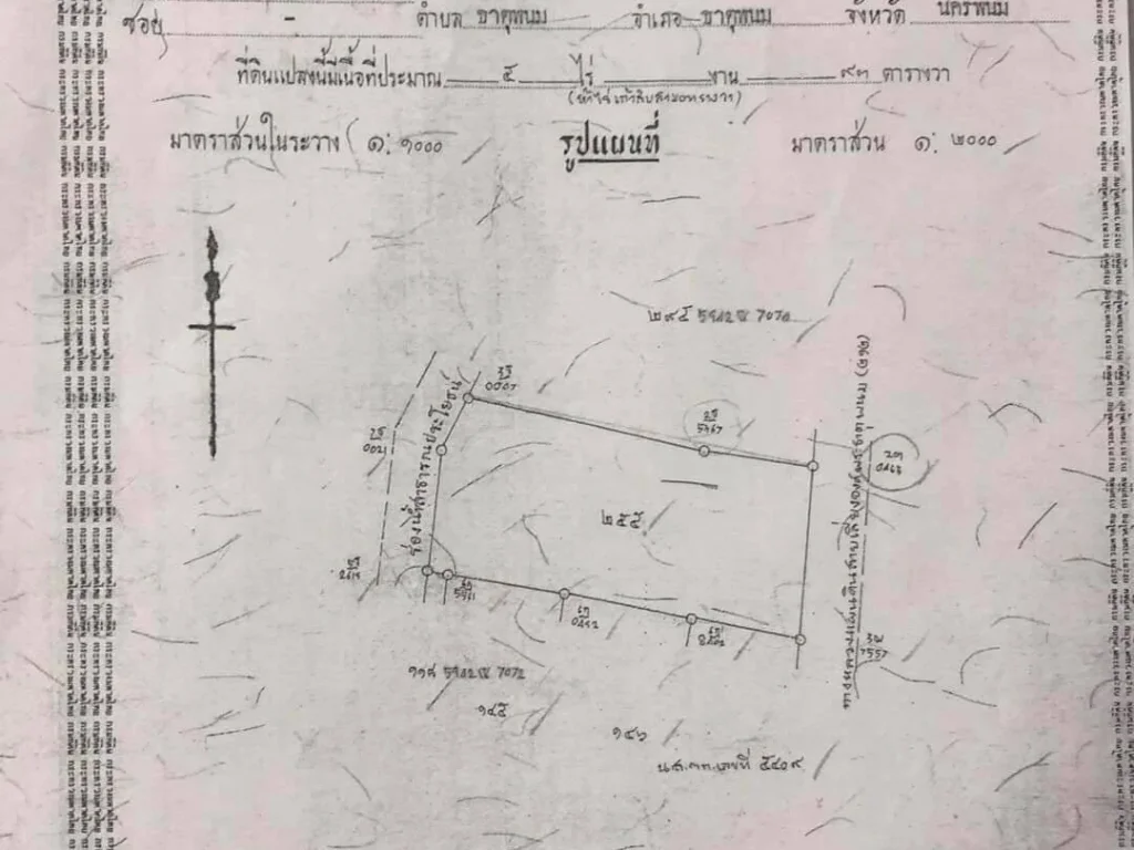 ลดสุดๆท้ายปี 64 ที่ดินติดถนนบายพาส หลังวัดพระธาตุพนม 5 ไร่ 93 ตาราวาง