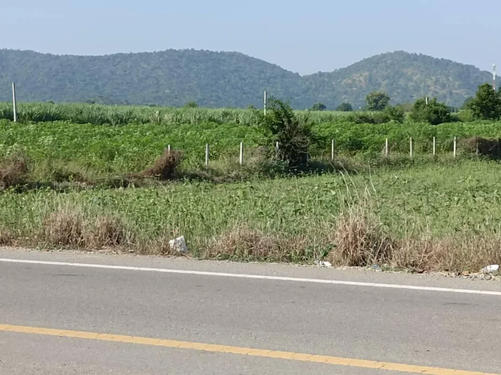 ขายที่ดินวิวเขาสวย ติดลาดยางเดินทางสะดวก พื้นที่อุดมสมบูรณ์บรรยากาศดี เหมาะสร้างบ้านสวน หรือกิจการร้านค้า