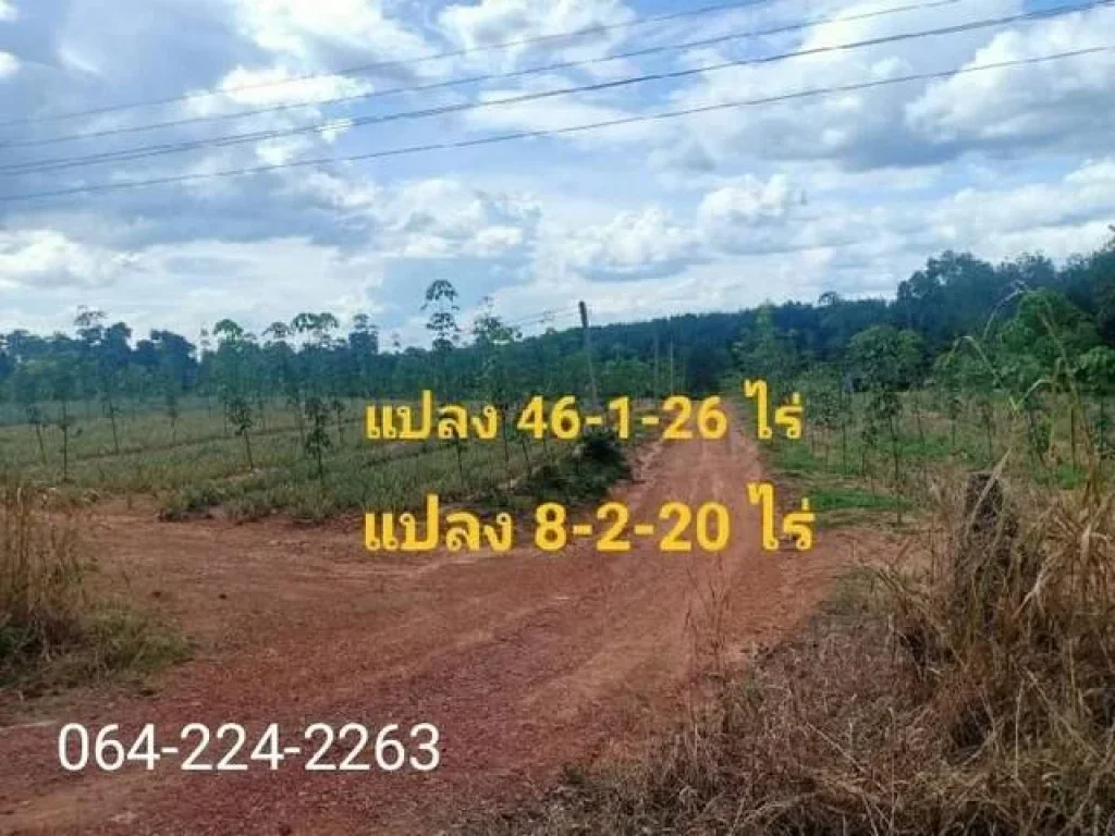 ขายที่ดินพร้อมสวนยาง 3 แปลง 61-2-22 ไร่