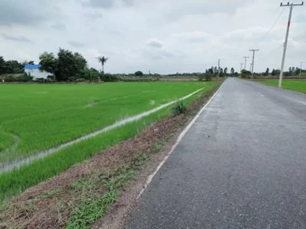 ที่ดิน หลังวัดโพรงอากาศ บางน้ำเปรี้ยว ฉะเชิงเทรา