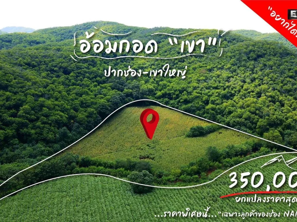 ที่ดินเขาใหญ่ ในอ้อมกอด ขุนเขา ห่างจากถนน 500 เมตรเท่านั้น