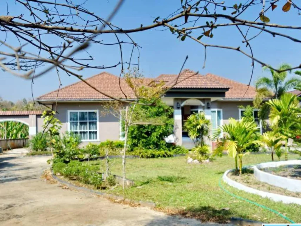 Beautiful house for sale 19 kilos from Chaingrai บ้านสวย 4 ห้องนอน 2 ห้องน้ำ เนื้อที่2-0-50ไร่ใกล้สิงค์ปาร์ค-วัดร่องขุ่น