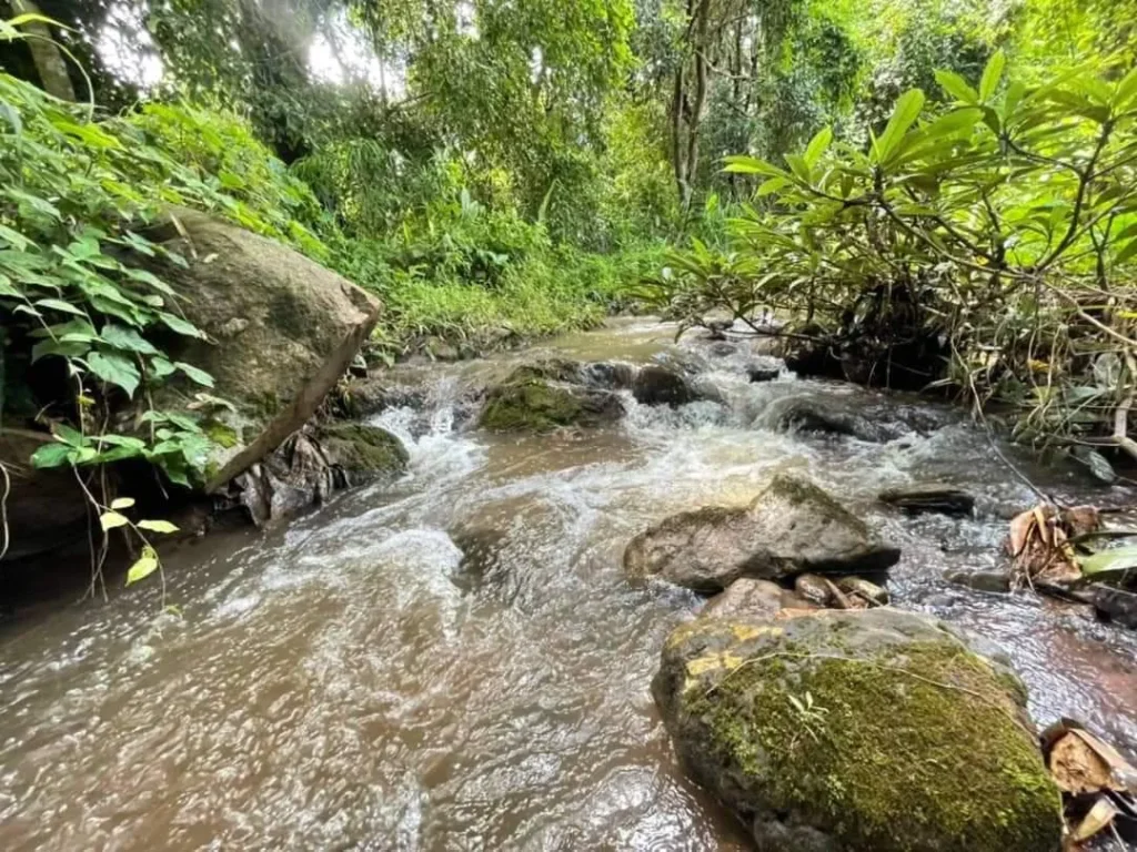 ขายที่ดินติดลำธารน้ำโขดหิน สะเมิงเหนือ สะเมิง พร้อมโอน