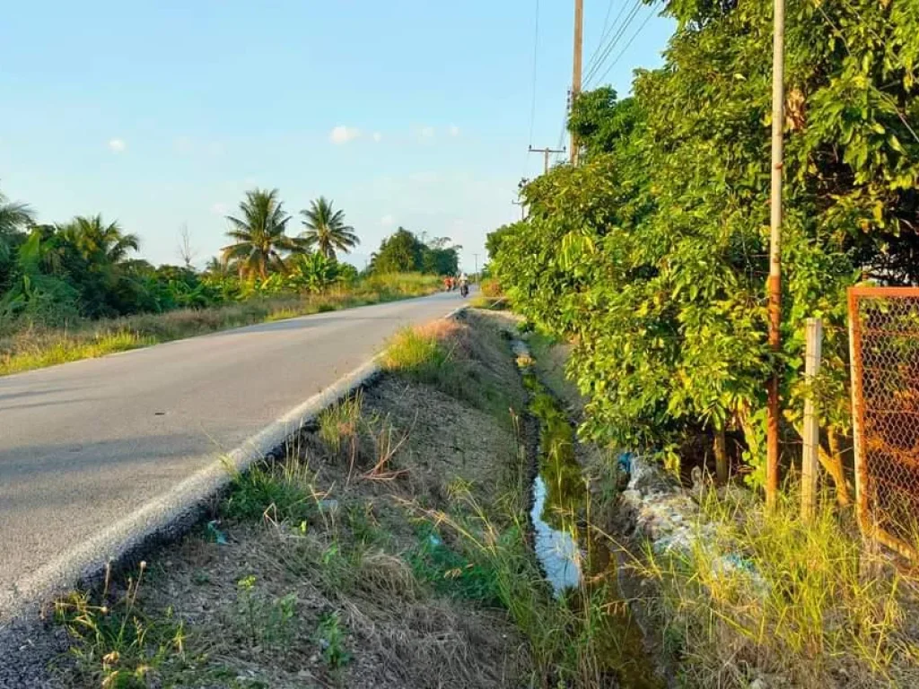 ขายสวนลำใย ติดถนนคอนกรีต พร้อมผลผลิต โฉนด