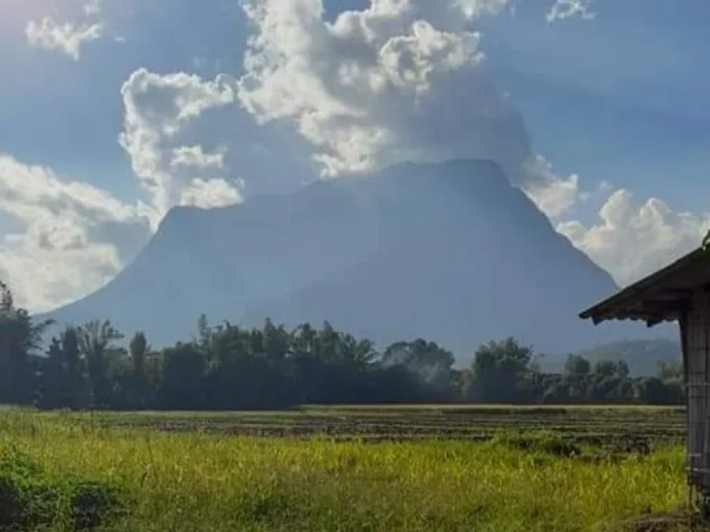 ขายที่นา วิวดอยหลวง ถ้ำเชียงดาว ลำน้ำห้วยไหลผ่าน