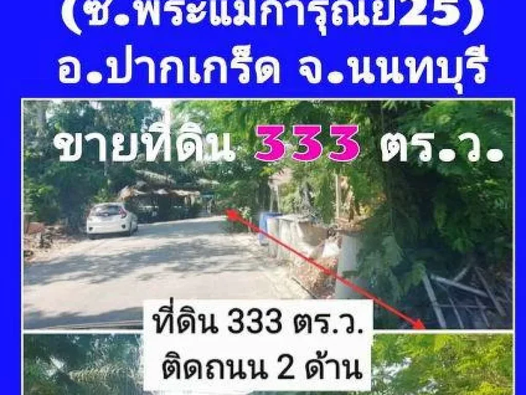 ขายที่ดิน 333 ตารางวา ถติวานนท์ ซอย 56 ซอยพระแม่การุณย์ 25 อปากเกร็ด จนนทบุรี