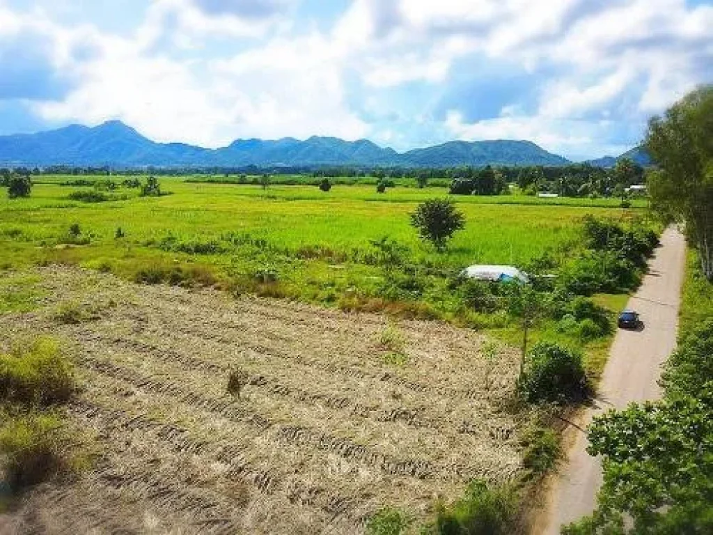 ที่ดิน วิวเทือกเขา อบ้านไร่ ย่านตลาด วัด น้ำำ ไฟพร้อม