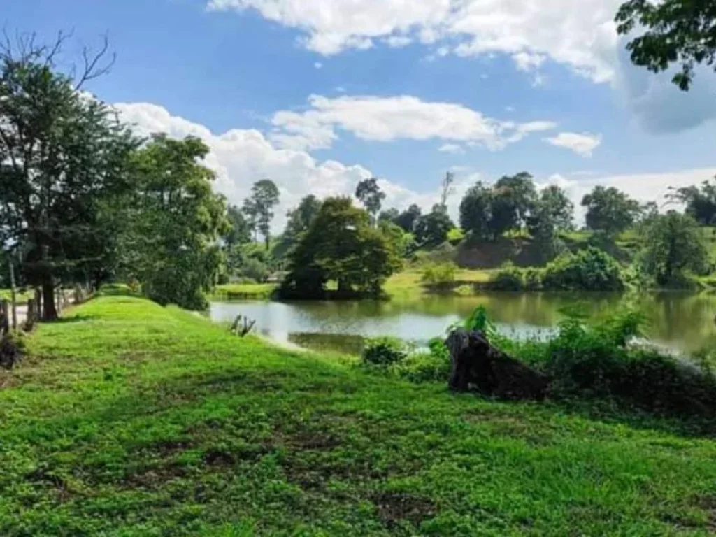 ขายที่ดินเชียงดาว วิวดอยหลวง โฉนดพร้อมโอน ราคาถูก