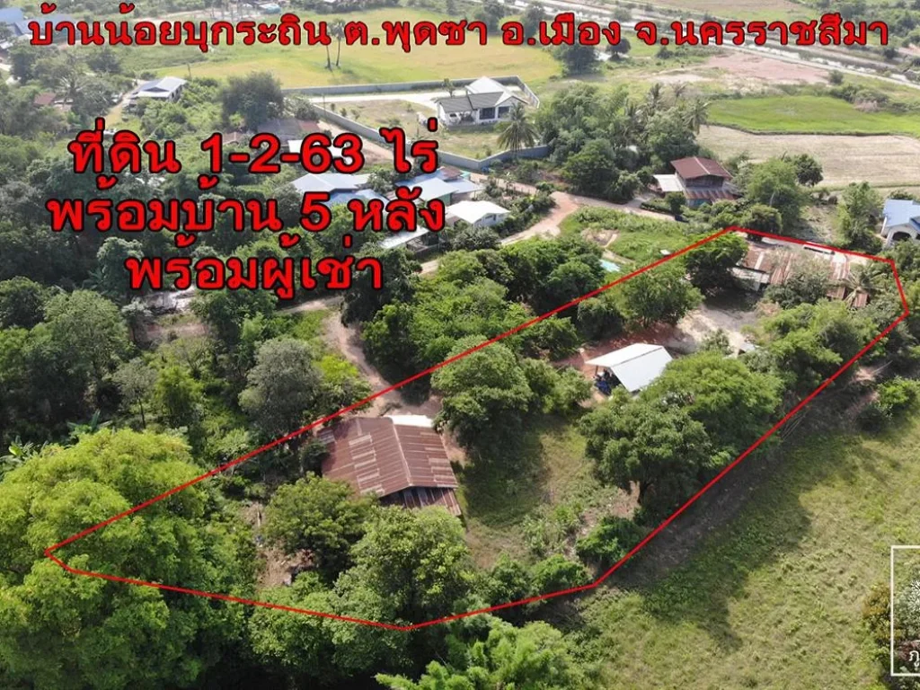 ที่ดินเพื่อการลงทุน บ้านพร้อมที่ดิน อเมืองโคราช ขนาด 1-2-63 ไร่