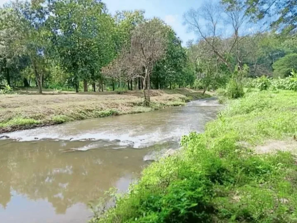 ขายที่ดินดอยสะเก็ตติดลำธารน้ำ โฉนดพร้อมโอน