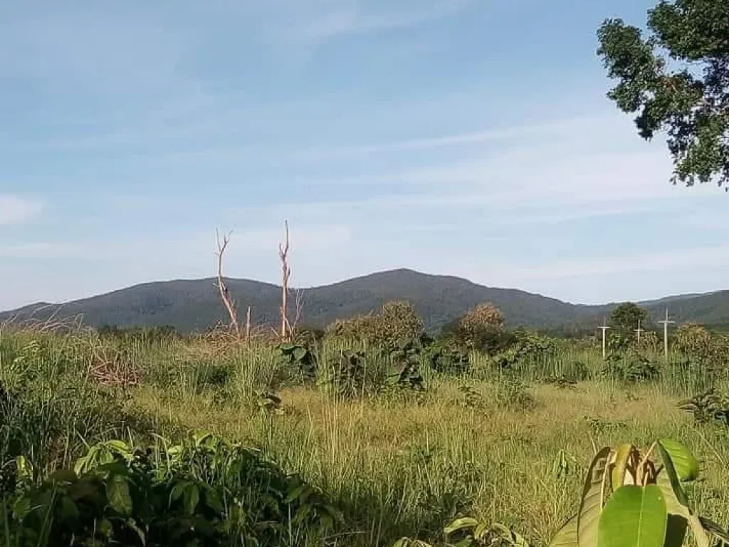 ที่ดินแปลงสวย วิวสวย กลางเนิน ติดถนนสายหลัก อุตรดิตถ์