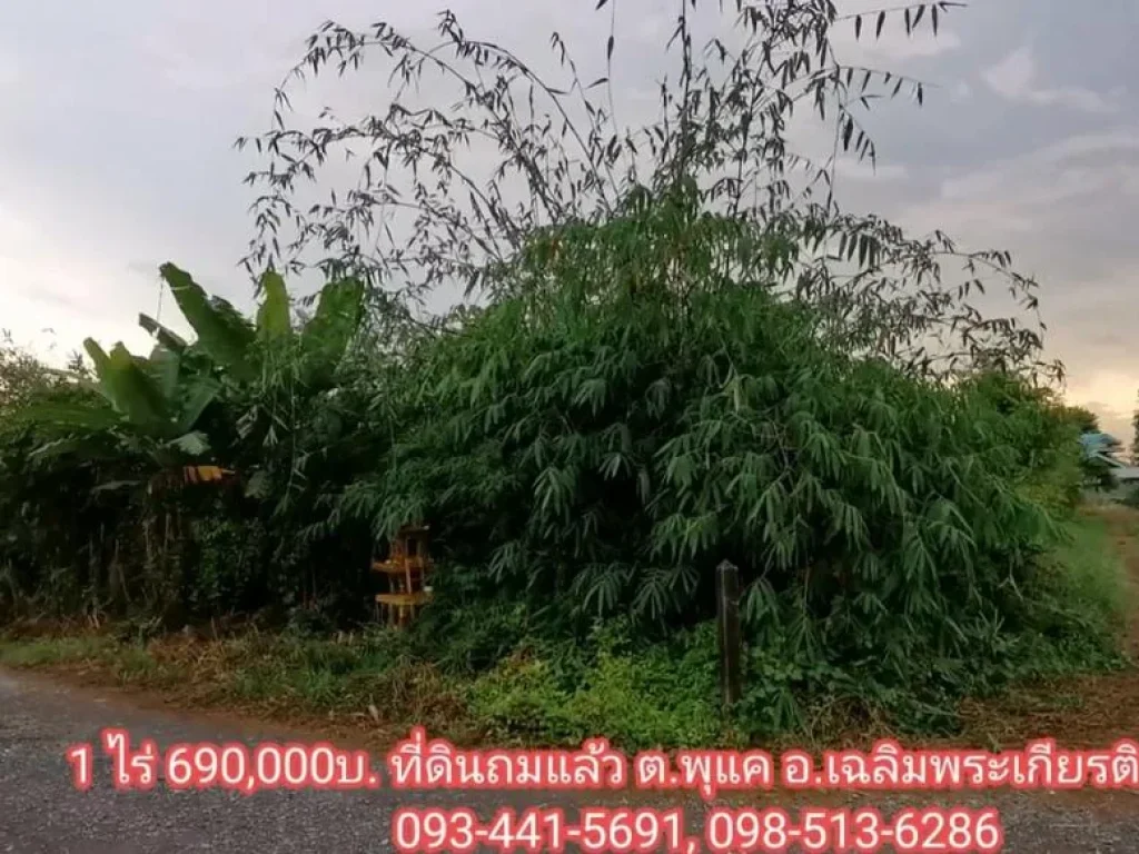 ขายที่ดิน1ไร่690000ไม่ต้องถม พุแค เฉลิมพระเกียรติสระบุรี