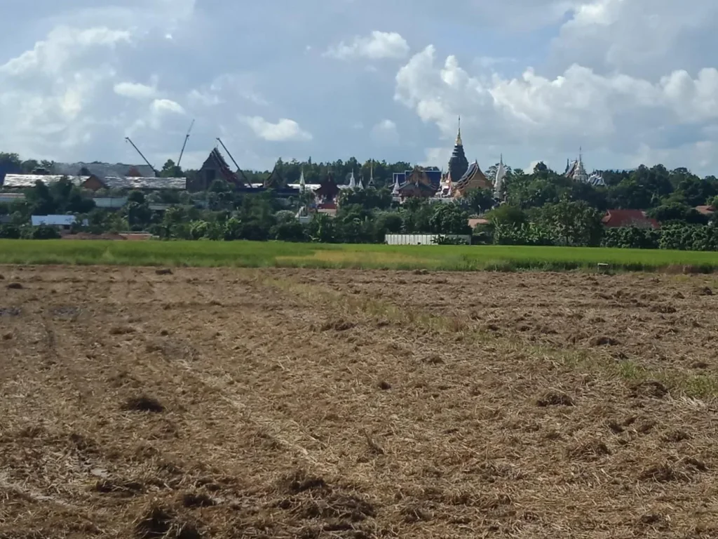 ที่ดินวิวดอยตรวข้ามวัดบ้านเด่น