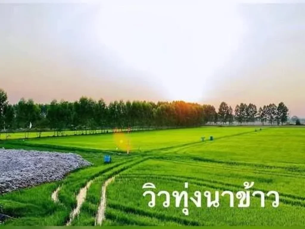 ขายที่ดินนครนายก วิวทุ่งนา วิวเขาไกลๆ 5 ไร่