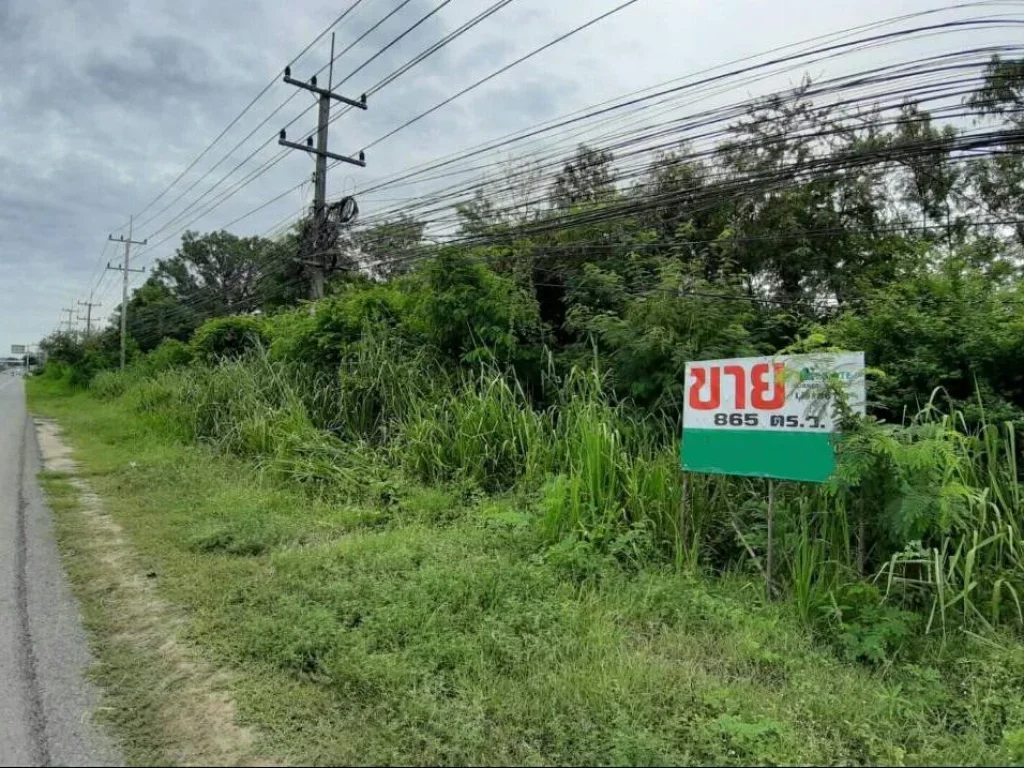 ที่ดิน 2 ไร่ 65 ตรว หน้ากว้าง 20 เมตรติดถนนสุขุมวิทระหว่างสัตหีบ-พัทยา