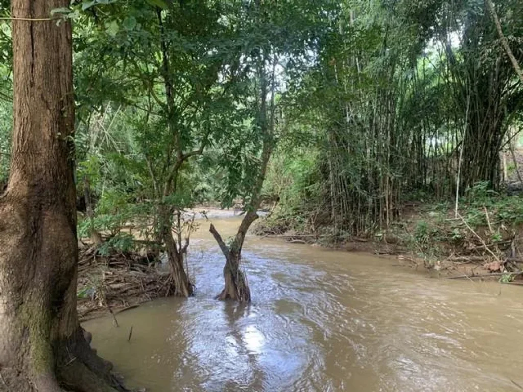 ขายที่ดินติดลำธารล้อมรอบพร้อมสวนยาง