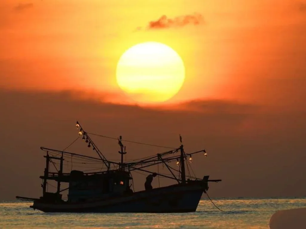 ขายที่ดินติดทะเลชายหาดเกาะลันตาใหญ่ 40ไร่