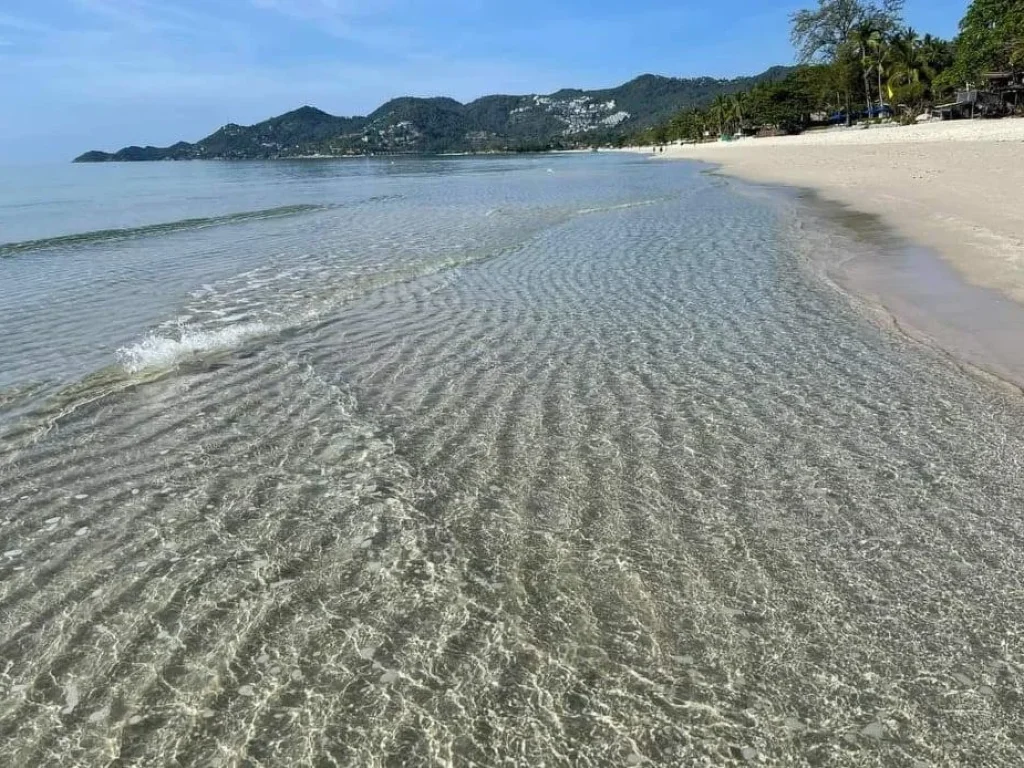 ขายที่ดินเกาะสมุยติดทะเลชายหาดเฉวงสวยมาก 15ไร่