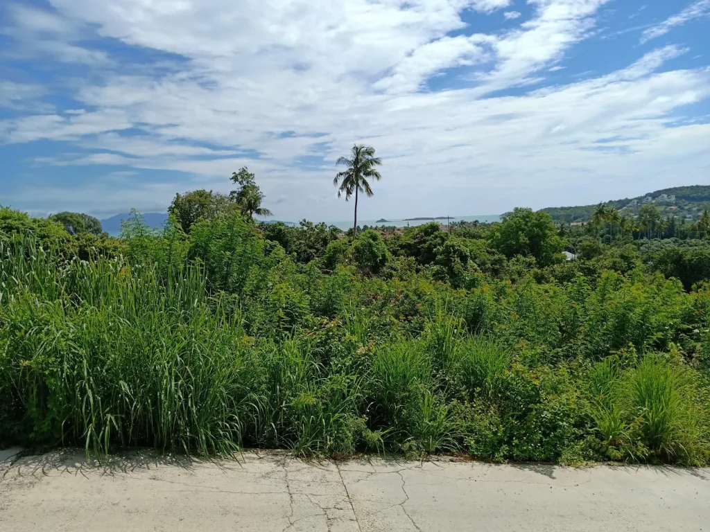 เกาะสมุยซีวิวที่ราบใกล้หาดบ่อผุด 23ไร่เหมาะทำโครงการ