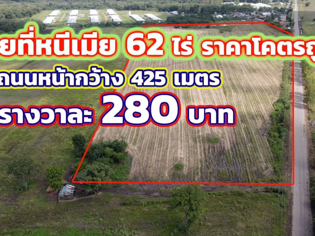 ขายที่ดิน 62 ไร่ ต ศิลาทิพย์ อ ชัยบาดาล จ ลพบุรี ราคาถูกที่สุดในสามโลก