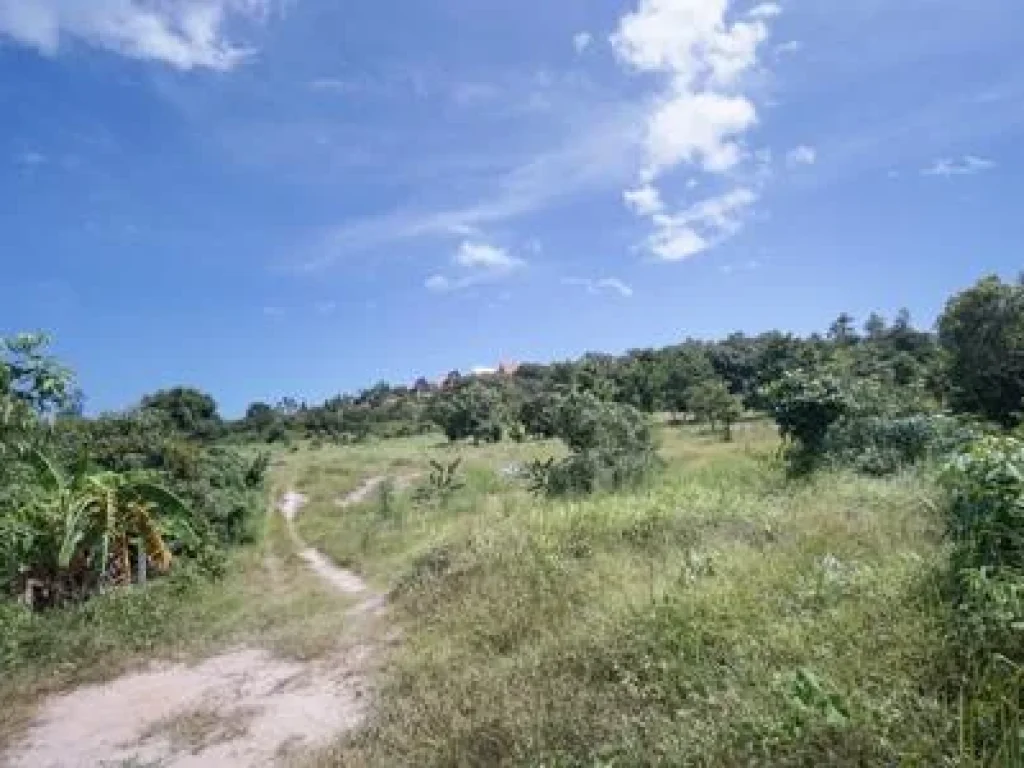 ที่ดินเกาะสมุย ใกล้หาดเชิงมนต์ ติดกับโรงแรม 5ดาว