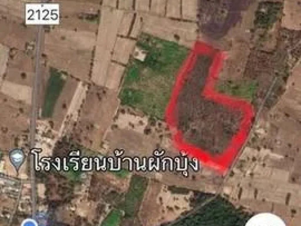 ที่ดินสวนยูคา 35ไร่35ลบตจาน กันทรารมย์ ศรีสะเกษ