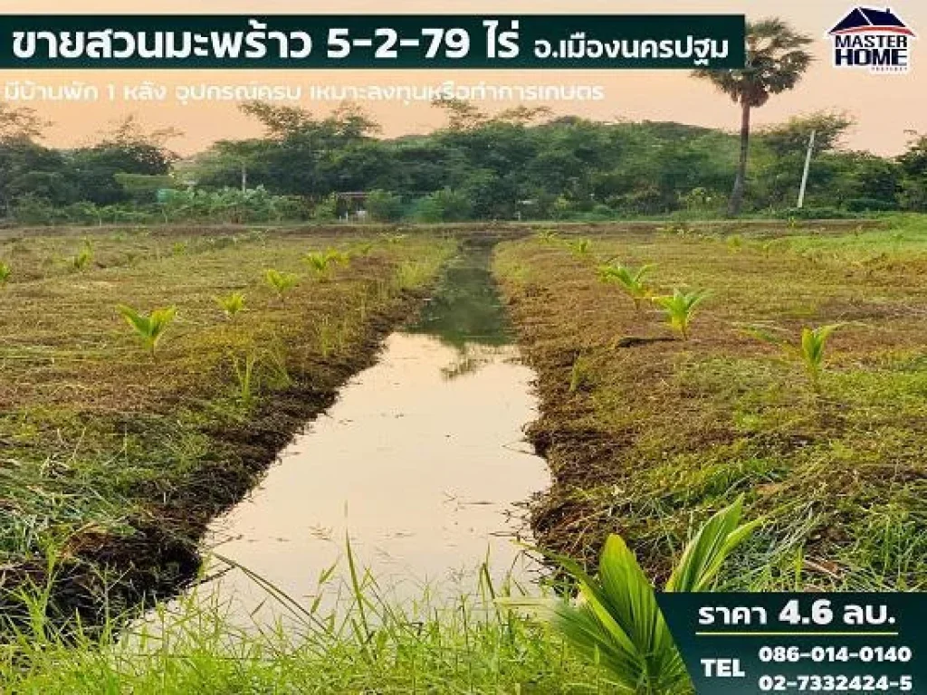 ขายสวนมะพร้าว 5-2-79 ไร่ อำเภอเมืองนครปฐม ที่ดินสวยถมแล้ว - 05537