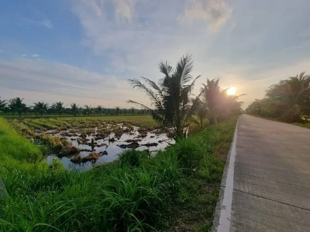 ขายที่ดิน 4 ไร่ ราคาไร่ละ 1000000 บาท คลอง 17 ติดถนนคอนกรีตใกล้แยกไผ่ดำ 6 กม ฉะเชิงเทรา