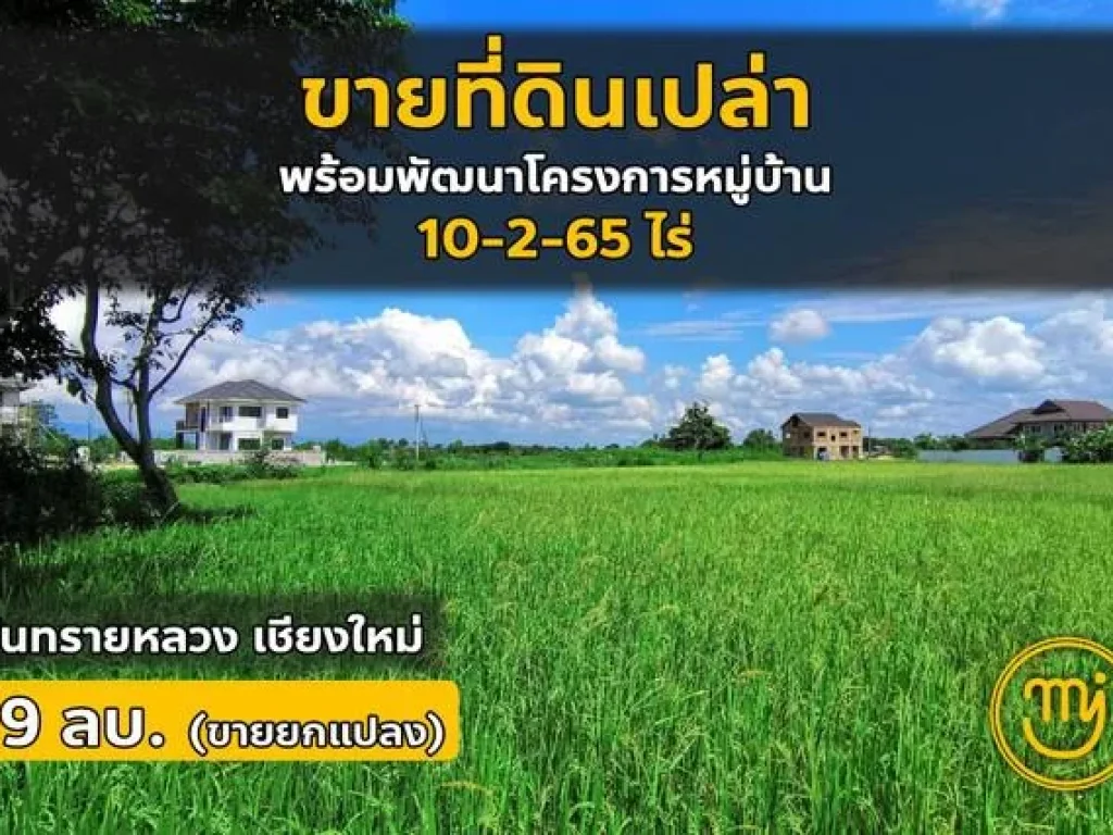 ที่ดินพร้อมพัฒนาโครงการ 10-2-65 ไร่ ไผ่ 0626046651