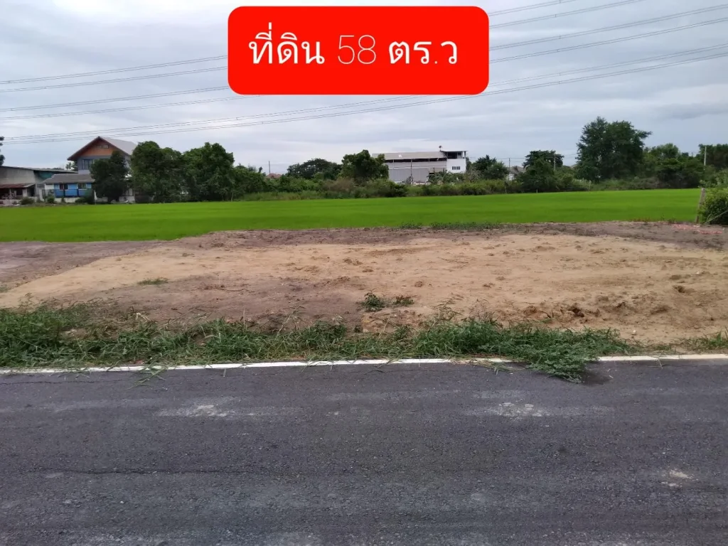 ขายที่สวย ราคาถูก 58 ตรว แหล่งชุมชุน สาธารณูปโภคครบครัน