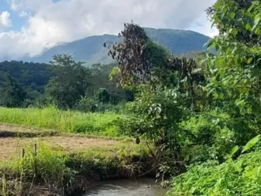 ขายที่ดินเชียงดาว ติดลำเหมือง วิวดอยหลวง เชียงดาวโฉนด