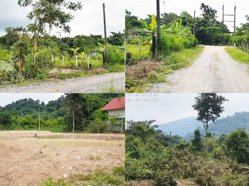 ขายที่ดินตำบลชะอม แก่งคอย สระบุรี 100ตรว วิวเขาใหญ่ บรรยากาศดี เหมาะปลูกบ้านพักตากอากาศ ใกล้กรุงเทพ