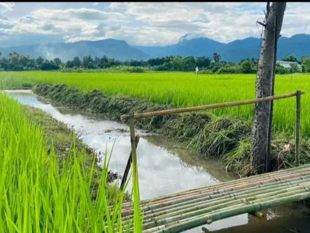 ขายืี่นาขั้นบรรได ติดน้ำ จอมทอง วิวดอย โฉนด