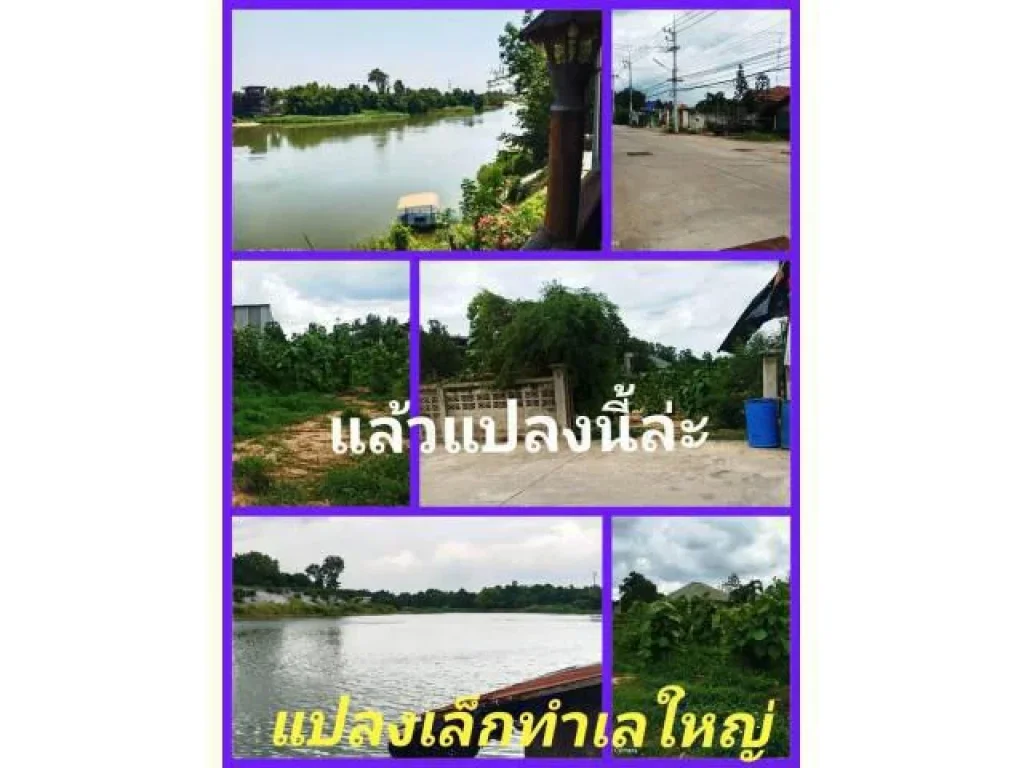 ที่นี่ที่เดียว ให้ที่เกี่ยวข้องส่วนเกินติดแม่นัำอีกเป็นไร่ ย่านชุมชน ย่านธุรกิจ เขตเทศบาลหวายเหนียว แปลงเดียวที่มีมูลค่าเกินคุ้ม