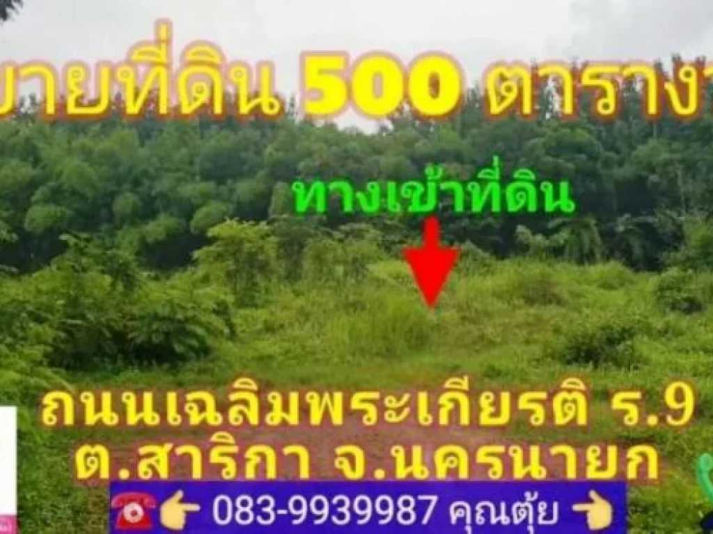 ขายที่ดิน 500 ตารางวา ติดถนนเฉลิมพระเกียรติ ร9 ตสาริกา อเมือง จนครนายก