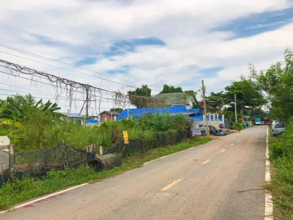 ขายที่ดิน 100 ตรว เลียบคลองนายหลีก ทำเลดีราคาถูกสุดๆ อบางบัวทอง