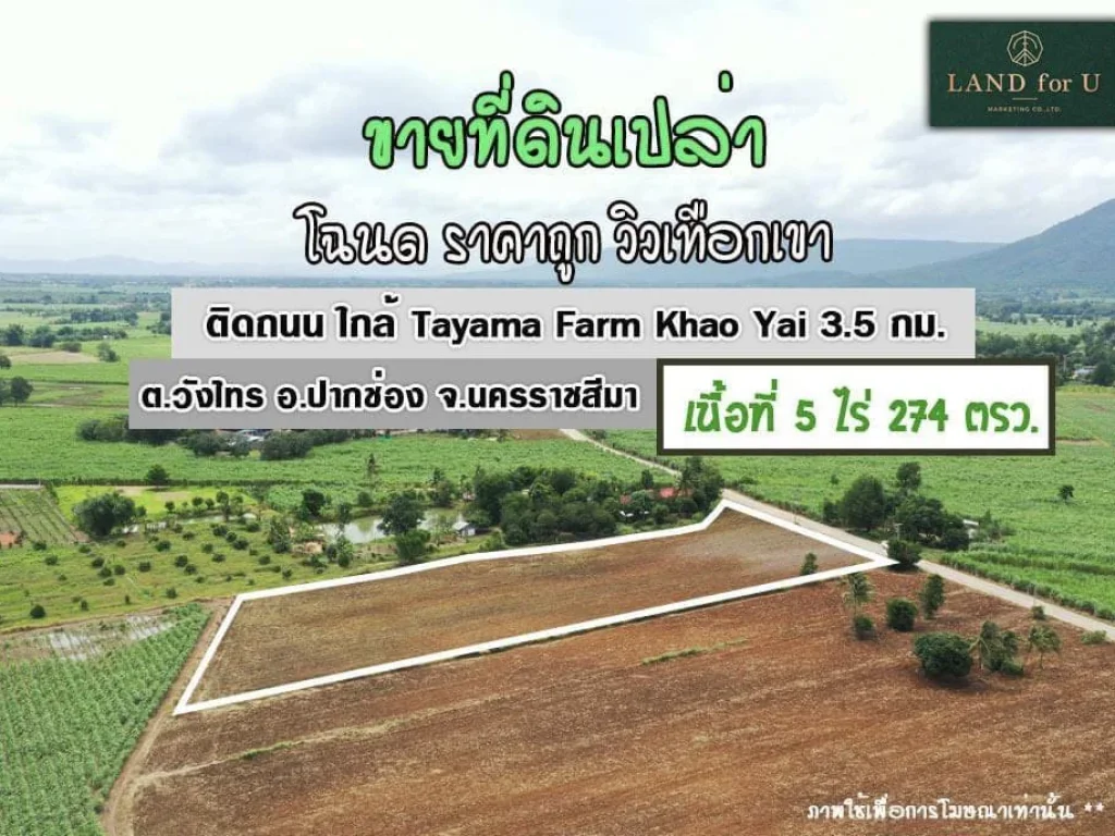 ขายที่ดินติดถนนราคาถูก ขายที่ดินปากช่องเขาใหญ่-บ้านคลองม่วง ใกล้TayamaFarmKhaoYai 35 กม